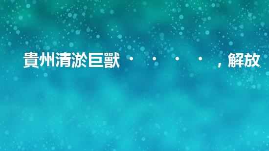 貴州清淤巨獸，解放河道疑團(tuán)！